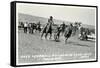 Cowboy Bulldogging, Montana-null-Framed Stretched Canvas