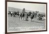Cowboy Bulldogging, Montana-null-Framed Art Print
