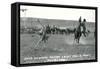 Cowboy Calf-Roping, Montana-null-Framed Stretched Canvas
