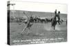 Cowboy Calf-Roping, Montana-null-Stretched Canvas