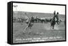 Cowboy Calf-Roping, Montana-null-Framed Stretched Canvas