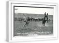 White Frame