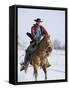 Cowboy Cantering Through Snow on Chestnut Red Dun Quarter Horse Gelding, Berthoud, Colorado, USA-Carol Walker-Framed Stretched Canvas