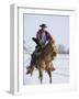 Cowboy Cantering Through Snow on Chestnut Red Dun Quarter Horse Gelding, Berthoud, Colorado, USA-Carol Walker-Framed Photographic Print