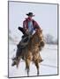 Cowboy Cantering Through Snow on Chestnut Red Dun Quarter Horse Gelding, Berthoud, Colorado, USA-Carol Walker-Mounted Photographic Print