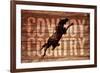 Cowboy Country-null-Framed Giclee Print