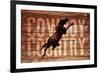 Cowboy Country-null-Framed Giclee Print