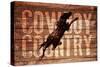 Cowboy Country-null-Stretched Canvas