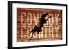 Cowboy Country-null-Framed Giclee Print