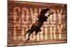 Cowboy Country-null-Mounted Giclee Print