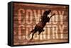 Cowboy Country-null-Framed Stretched Canvas