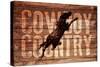 Cowboy Country-null-Stretched Canvas