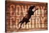 Cowboy Country-null-Stretched Canvas