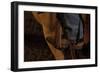 Cowboy. Detail of an Stirrup, United States-null-Framed Giclee Print