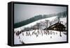 Cowboy Downhill Festival, Steamboat, Colorado-null-Framed Stretched Canvas