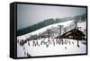 Cowboy Downhill Festival, Steamboat, Colorado-null-Framed Stretched Canvas