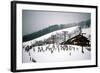 Cowboy Downhill Festival, Steamboat, Colorado-null-Framed Photographic Print
