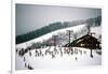 Cowboy Downhill Festival, Steamboat, Colorado-null-Framed Photographic Print