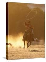 Cowboy Galloping While Swinging a Rope Lassoo at Sunset, Flitner Ranch, Shell, Wyoming, USA-Carol Walker-Stretched Canvas