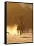 Cowboy Galloping While Swinging a Rope Lassoo at Sunset, Flitner Ranch, Shell, Wyoming, USA-Carol Walker-Framed Stretched Canvas