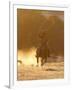 Cowboy Galloping While Swinging a Rope Lassoo at Sunset, Flitner Ranch, Shell, Wyoming, USA-Carol Walker-Framed Premium Photographic Print