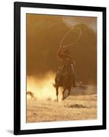 Cowboy Galloping While Swinging a Rope Lassoo at Sunset, Flitner Ranch, Shell, Wyoming, USA-Carol Walker-Framed Premium Photographic Print