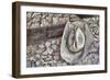 Cowboy Hats I-Kathy Mahan-Framed Photographic Print