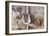 Cowboy Hats II-Kathy Mahan-Framed Photographic Print