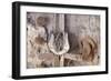 Cowboy Hats II-Kathy Mahan-Framed Photographic Print