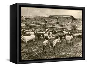 Cowboy Herding Cattle in the Railroad Stockyards at Kansas City Missouri 1890-null-Framed Stretched Canvas