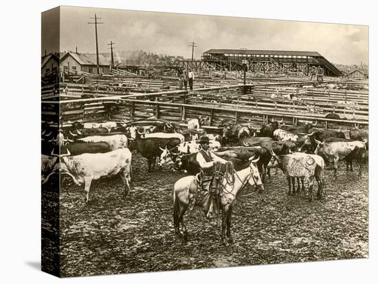 Cowboy Herding Cattle in the Railroad Stockyards at Kansas City Missouri 1890-null-Stretched Canvas