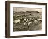 Cowboy Herding Cattle in the Railroad Stockyards at Kansas City Missouri 1890-null-Framed Giclee Print