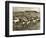 Cowboy Herding Cattle in the Railroad Stockyards at Kansas City Missouri 1890-null-Framed Giclee Print