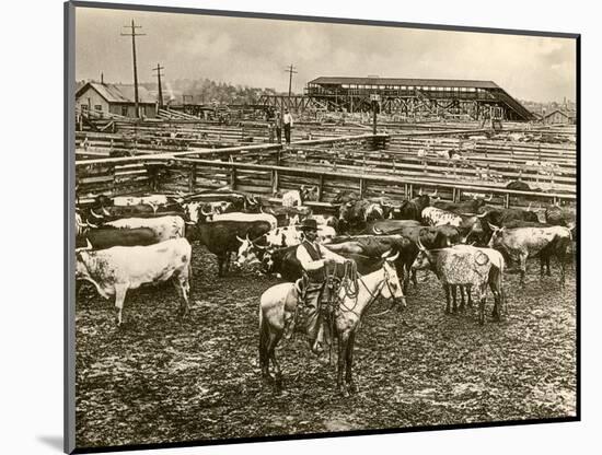 Cowboy Herding Cattle in the Railroad Stockyards at Kansas City Missouri 1890-null-Mounted Giclee Print