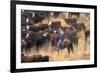 Cowboy Herding Cattle in the Sierras of California Near Bridgeport-John Alves-Framed Photographic Print