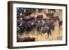 Cowboy Herding Cattle in the Sierras of California Near Bridgeport-John Alves-Framed Photographic Print