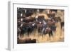 Cowboy Herding Cattle in the Sierras of California Near Bridgeport-John Alves-Framed Photographic Print