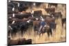 Cowboy Herding Cattle in the Sierras of California Near Bridgeport-John Alves-Mounted Photographic Print