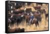 Cowboy Herding Cattle in the Sierras of California Near Bridgeport-John Alves-Framed Stretched Canvas