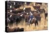 Cowboy Herding Cattle in the Sierras of California Near Bridgeport-John Alves-Stretched Canvas