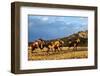 Cowboy Herding Horses-Terry Eggers-Framed Photographic Print