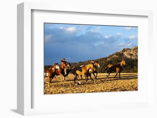 Cowboy Herding Horses-Terry Eggers-Framed Photographic Print