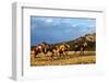 Cowboy Herding Horses-Terry Eggers-Framed Photographic Print