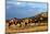 Cowboy Herding Horses-Terry Eggers-Mounted Photographic Print