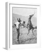 Cowboy Holds Rope around Struggling Bronco's Neck Photograph - Texas-Lantern Press-Framed Art Print