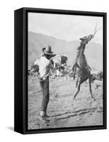 Cowboy Holds Rope around Struggling Bronco's Neck Photograph - Texas-Lantern Press-Framed Stretched Canvas