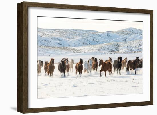 Cowboy Horse Drive, Hideout Ranch, Shell, Wyoming-Darrell Gulin-Framed Art Print