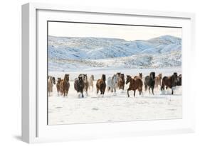 Cowboy Horse Drive, Hideout Ranch, Shell, Wyoming-Darrell Gulin-Framed Art Print