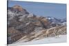 Cowboy horse drive on Hideout Ranch, Shell, Wyoming. Evening light on the Big Horn Mountains-Darrell Gulin-Stretched Canvas