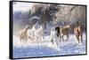 Cowboy horse drive on Hideout Ranch, Shell, Wyoming. Herd of horses running in snow.-Darrell Gulin-Framed Stretched Canvas